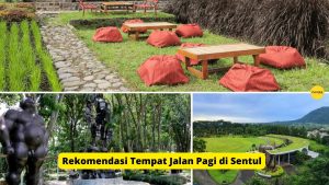 Rekomendasi Jalan Pagi di Sentul Bogor yang Menyehatkan dan Sejuk