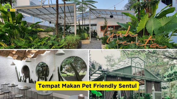 7+Tempat Makan Pet Friendly Sentul yang Wajib Dipilih